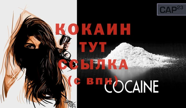 индика Балабаново