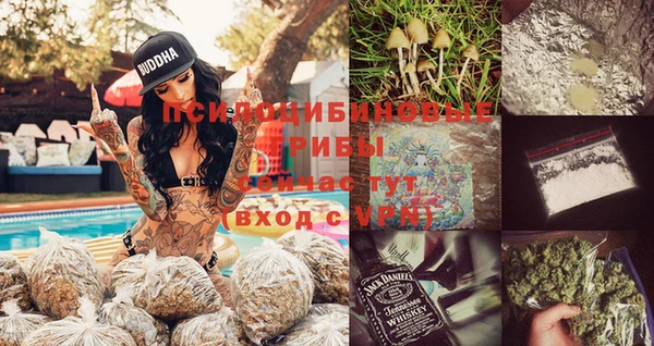индика Балабаново