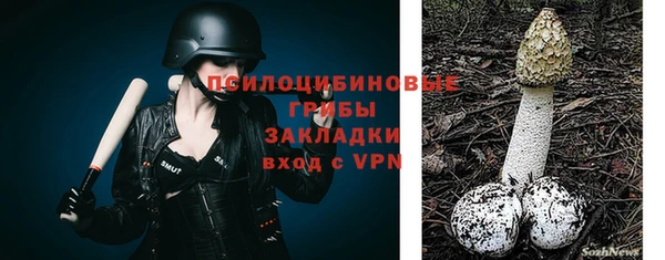 индика Балабаново