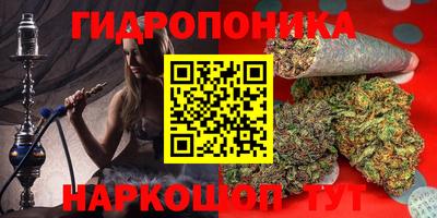 Альфа ПВП Обь