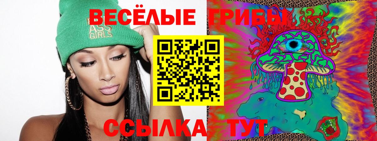 Галлюциногенные грибы MAGIC MUSHROOMS  Галлюциногенные грибы Psilocybine cubensis  Черняховск  закладка  Вход с VPN 